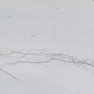 Mont Blanc Polished Quartzite_Detail 1